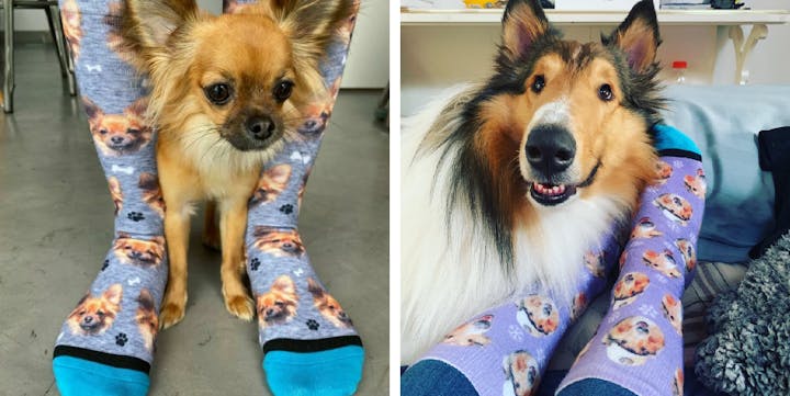  Glohox Customized Dog Face on Socks - Custom Face