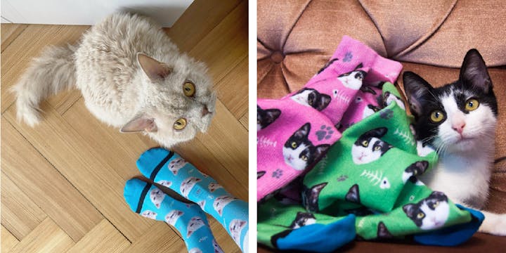 Custom Cat Face Socks and ADD their name - Meow Design – Sock Bar