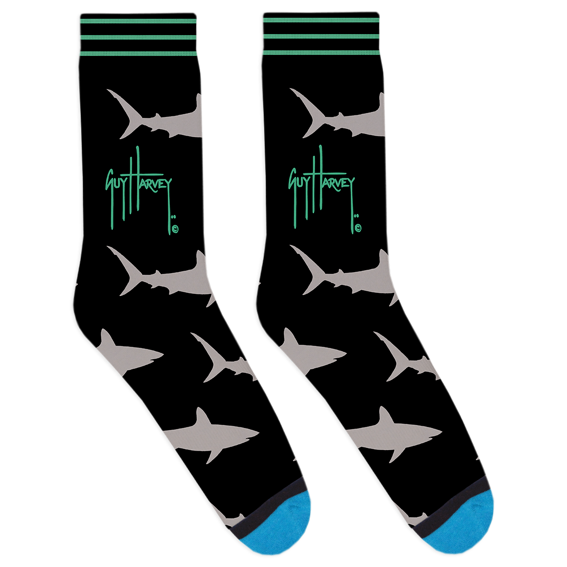 Updated Shark 1-01