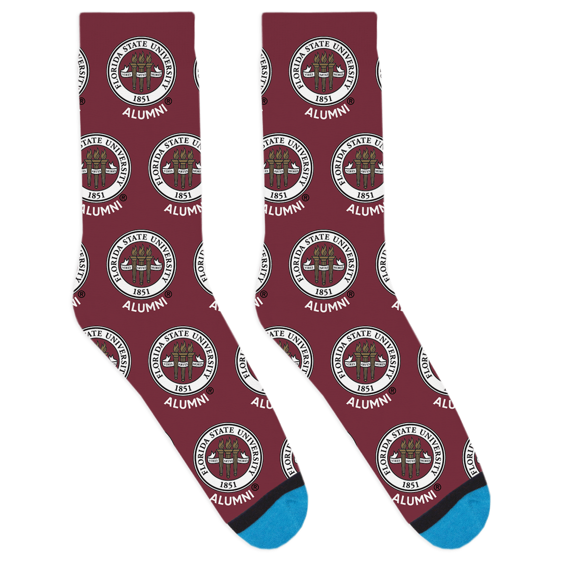 FSU Alumni - Garnet