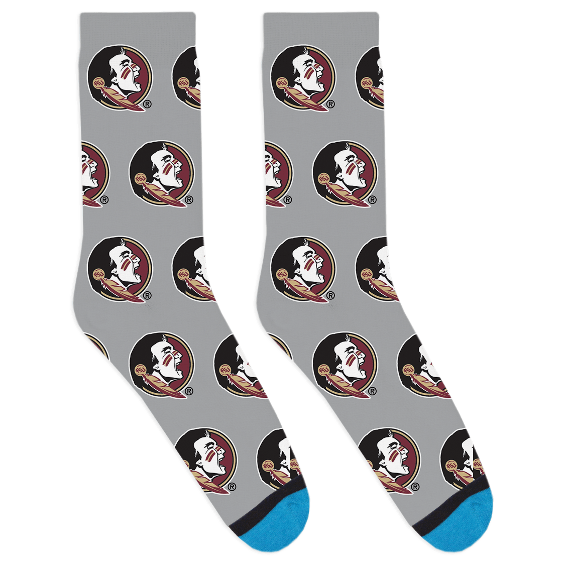 FSU Logo - Grey