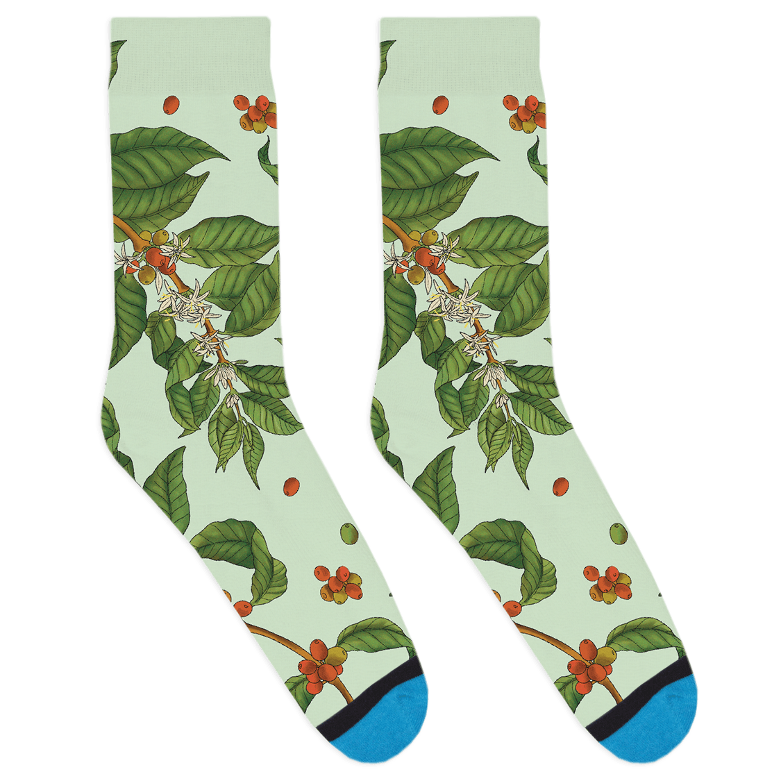 Coffee Plant