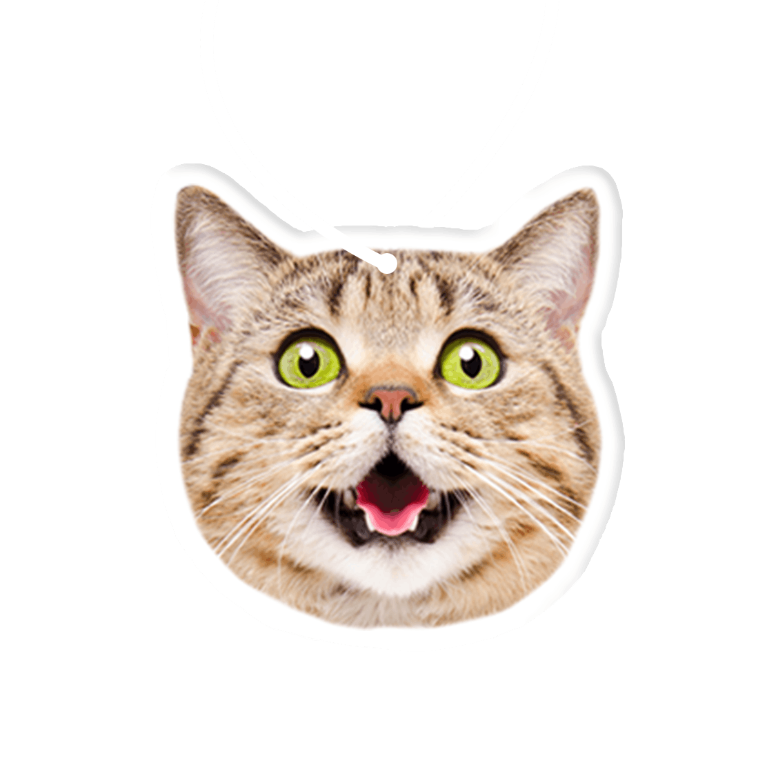 Cat Air Freshener