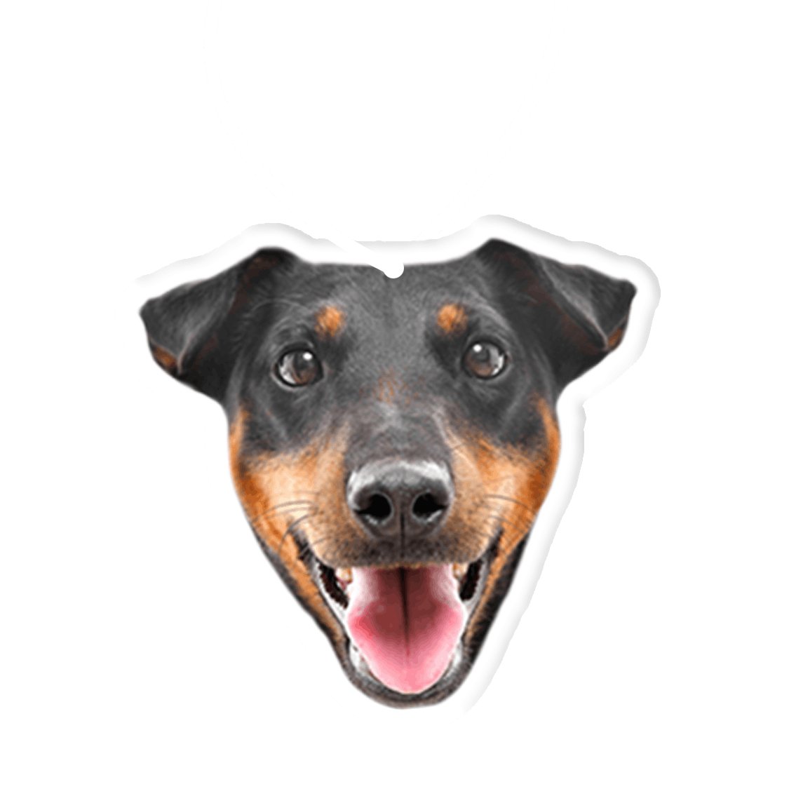 Dog Air Freshener